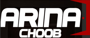 لوگوی شرکت آرینا