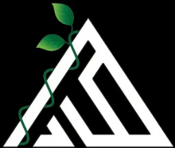 بهترین تولید کننده فلاور باکس بتنی | ساختمونی نیوز