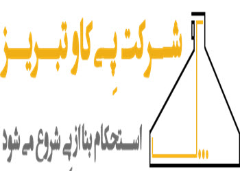 لوگوی شرکت پی کاو تبریز | ساختمونی نیوز 